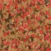 Сухой Корм Tetra Goldfish хлопья для золотых рыбок10 л