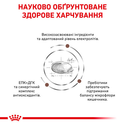 Корм для дорослих собак ROYAL CANIN GASTRO INTESTINAL DOG 15 кг