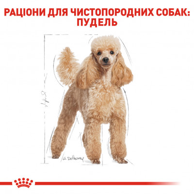 Корм для дорослих собак ROYAL CANIN POODLE ADULT 1.5 кг