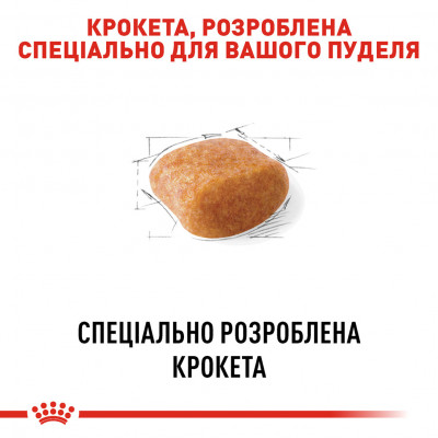 Корм для дорослих собак ROYAL CANIN POODLE ADULT 1.5 кг