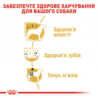 Корм для дорослих собак ROYAL CANIN POODLE ADULT 1.5 кг