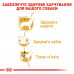 Корм для дорослих собак ROYAL CANIN POODLE ADULT 1.5 кг