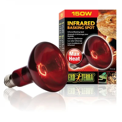Інфрачервона лампа розжарювання Exo Terra «Infrared Basking Spot» 150 W, E27 (для обігрівання)