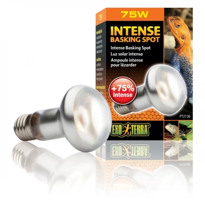 Рефлекторна лампа розжарювання Exo Terra « Intense Basking Spot» 75 W, E27 (для обігріву)