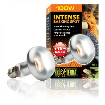 Рефлекторна лампа розжарювання Exo Terra « Intense Basking Spot» 100 W, E27 (для обігріву)