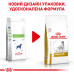 Корм для взрослых собак ROYAL CANIN URINARY S/O DOG 13 кг