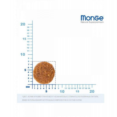 Сухий корм для кошенят Monge (Монж) cat BWild Low Grain Kitten м'ясо гусака 10 кг