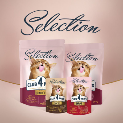 Вологий корм Клуб 4 лапи Premium Selection Strips Смужки з яловичиною в крем супі з броколі 85 г х 12 шт