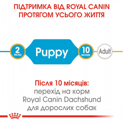 Корм для цуценят ROYAL CANIN DACHSHUND PUPPY 1.5 кг
