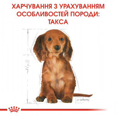 Корм для цуценят ROYAL CANIN DACHSHUND PUPPY 1.5 кг