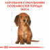 Корм для цуценят ROYAL CANIN DACHSHUND PUPPY 1.5 кг