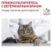 Вологий корм для дорослих котів ROYAL CANIN NEUTERED ADULT MAINTENANCE Pouches  85 г x 12 шт