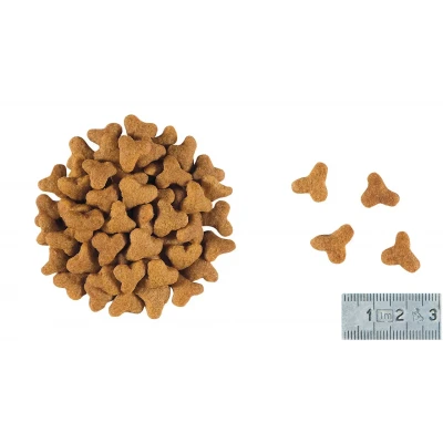 Royal Canin Gastrointostinal Fibre Response корм для котів при порушенні травлення 400 г