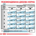 Вологий корм для дорослих котів ROYAL CANIN SKIN&COAT CAT Pouches 85 г x 12 шт