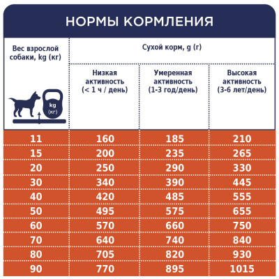 Сухий корм Клуб 4 лапи гіпоалергенний із ягням та рисом для собак 2 кг