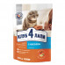 Сухой корм для кошек Club 4 Paws Premium 300 г (лосось)