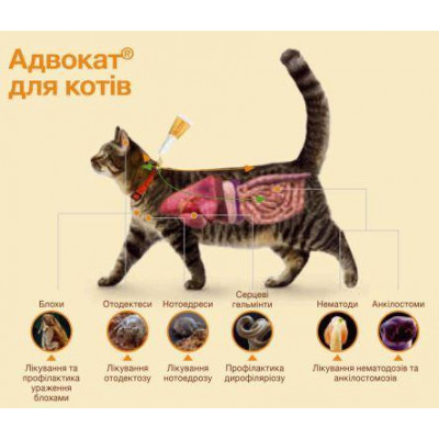 Bayer Advocate (Адвокат) краплі для котів до 4 кг (1 піпетка)