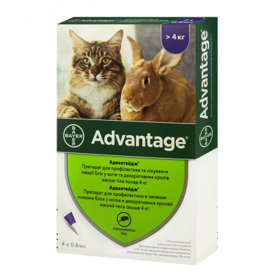 Bayer Advantage 80 краплі від блох для котів більше 4 кг (1 піпетка)