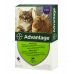 Bayer Advantage 80 краплі від блох для котів більше 4 кг (1 піпетка)