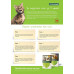 Bayer Advantage 80 краплі від блох для котів більше 4 кг (1 піпетка)