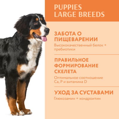OPTIMEAL сухий корм для цуценят великих порід з індичкою 4 кг
